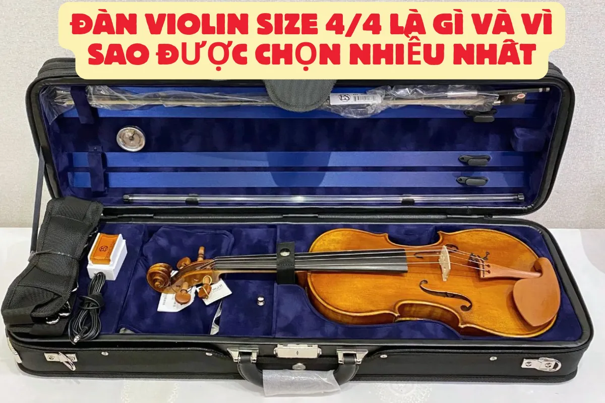 Đàn violin size 4/4 là gì và vì sao được chọn nhiều nhất