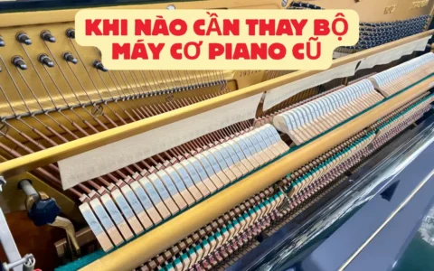 khi nao can thay bo may co piano cu