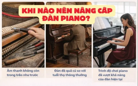 khi nao nen nang cap dan piano