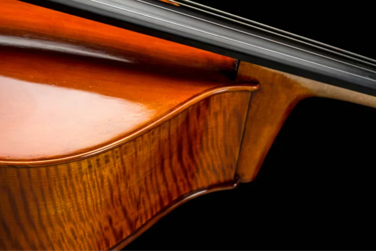 moi cay dan double bass eastman la mot cau chuyen rieng