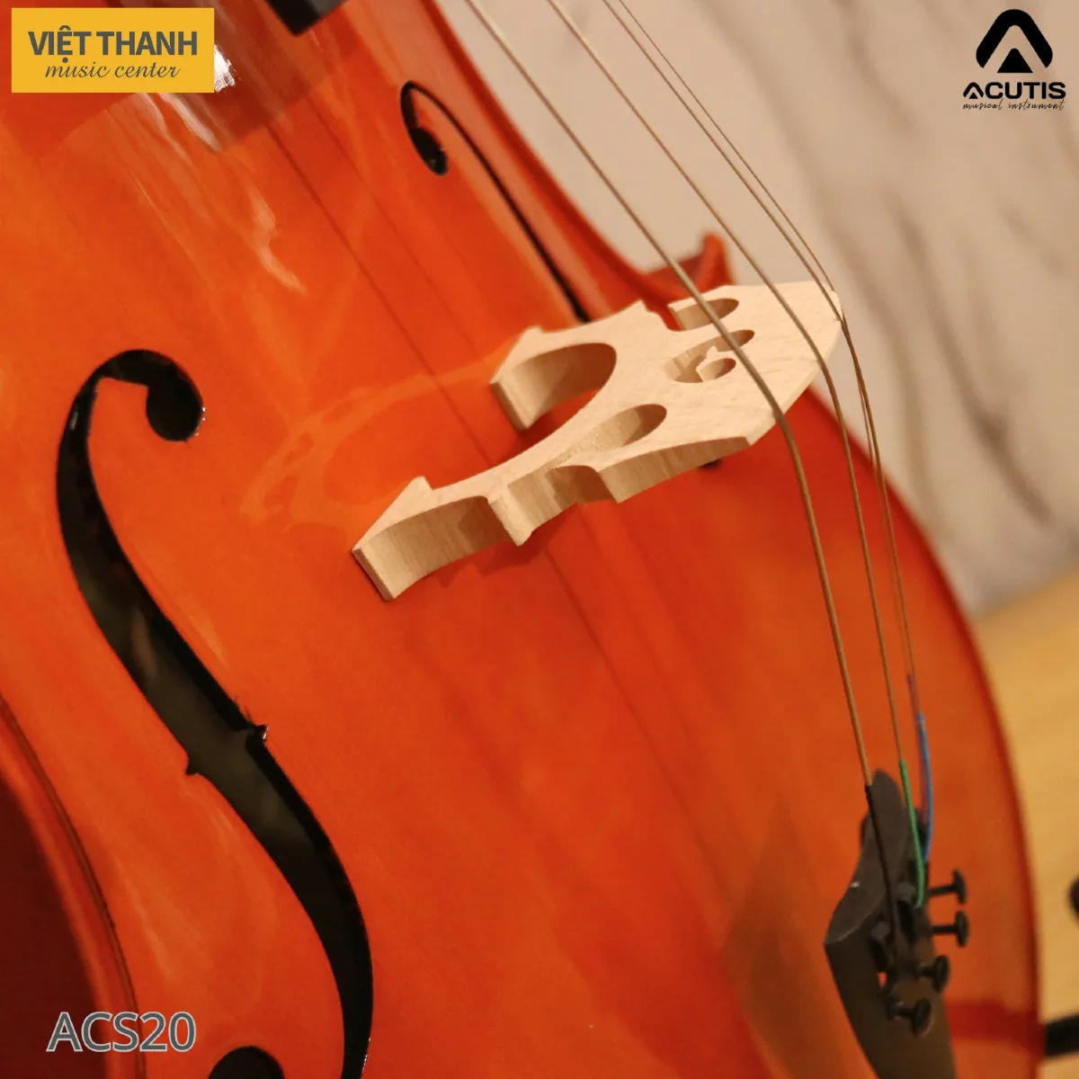 ngua dan cello acutis acs20