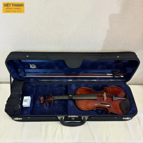 dan violin eastman vl501