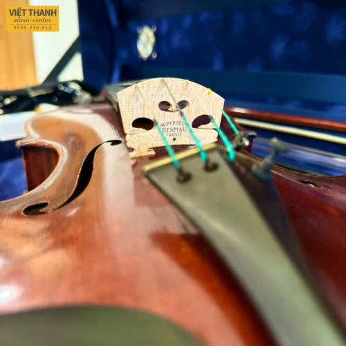 ngua dan violin eastman jean pierre lupot model vl501