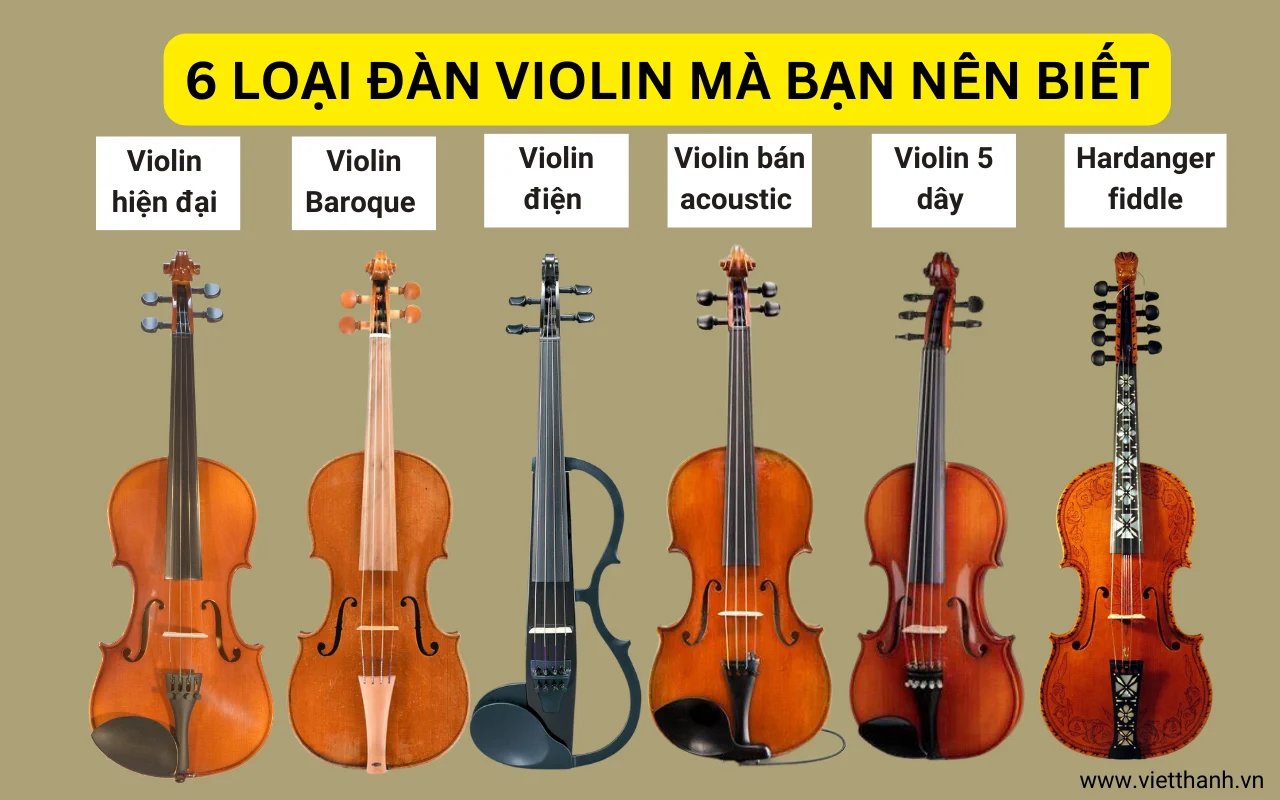 Các loại đàn violin: Thông tin chi tiết và câu hỏi thường gặp?