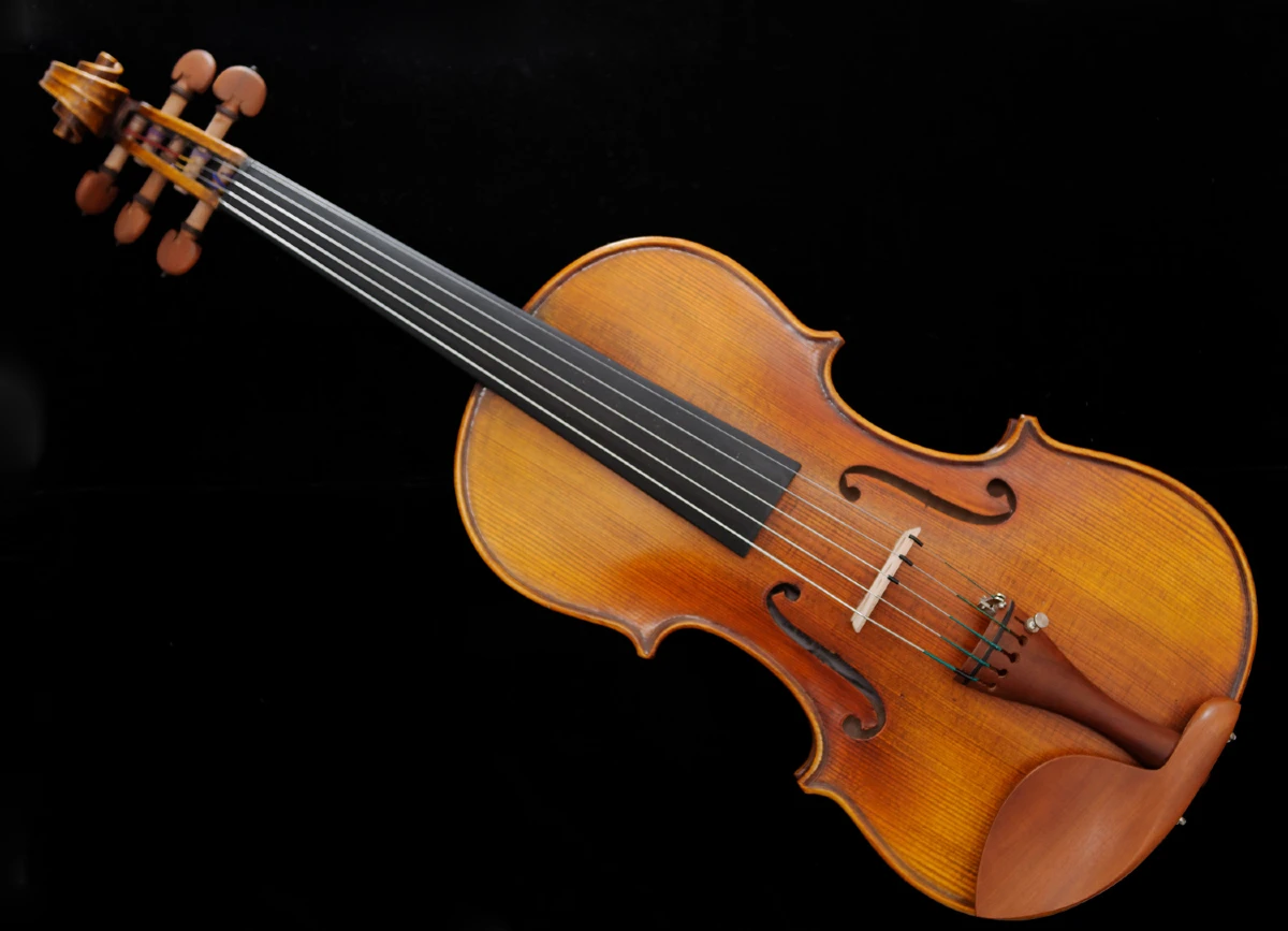 Đàn violin 5 dây ở dạng acoustic