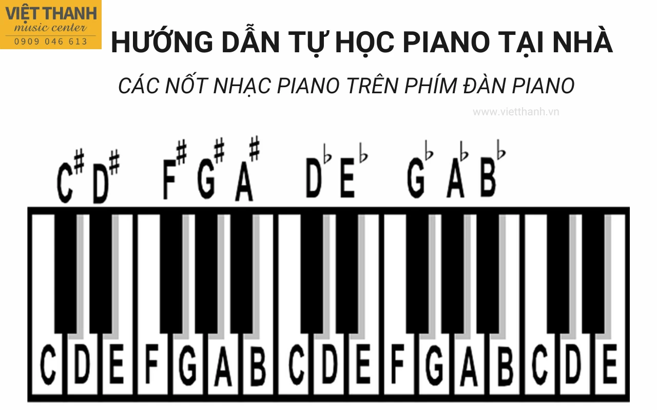 Hình ảnh mô phỏng phím đàn piano và các nốt nhạc trên phím