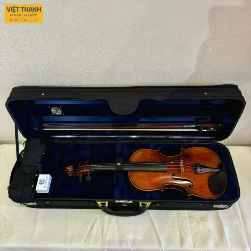 dan violin eastman vl701