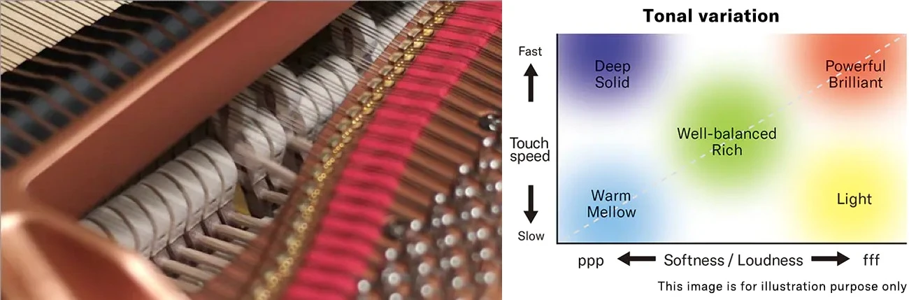 grand expression modeling