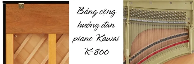 bang-cong-huong-dan-piano-kawai-k800