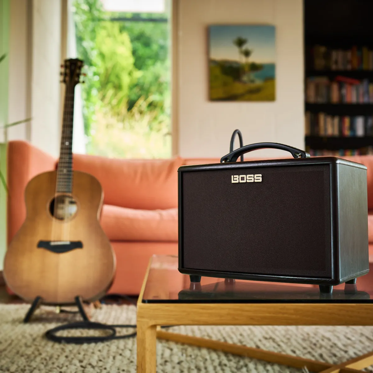 ampli acoustic boss ac 22lx