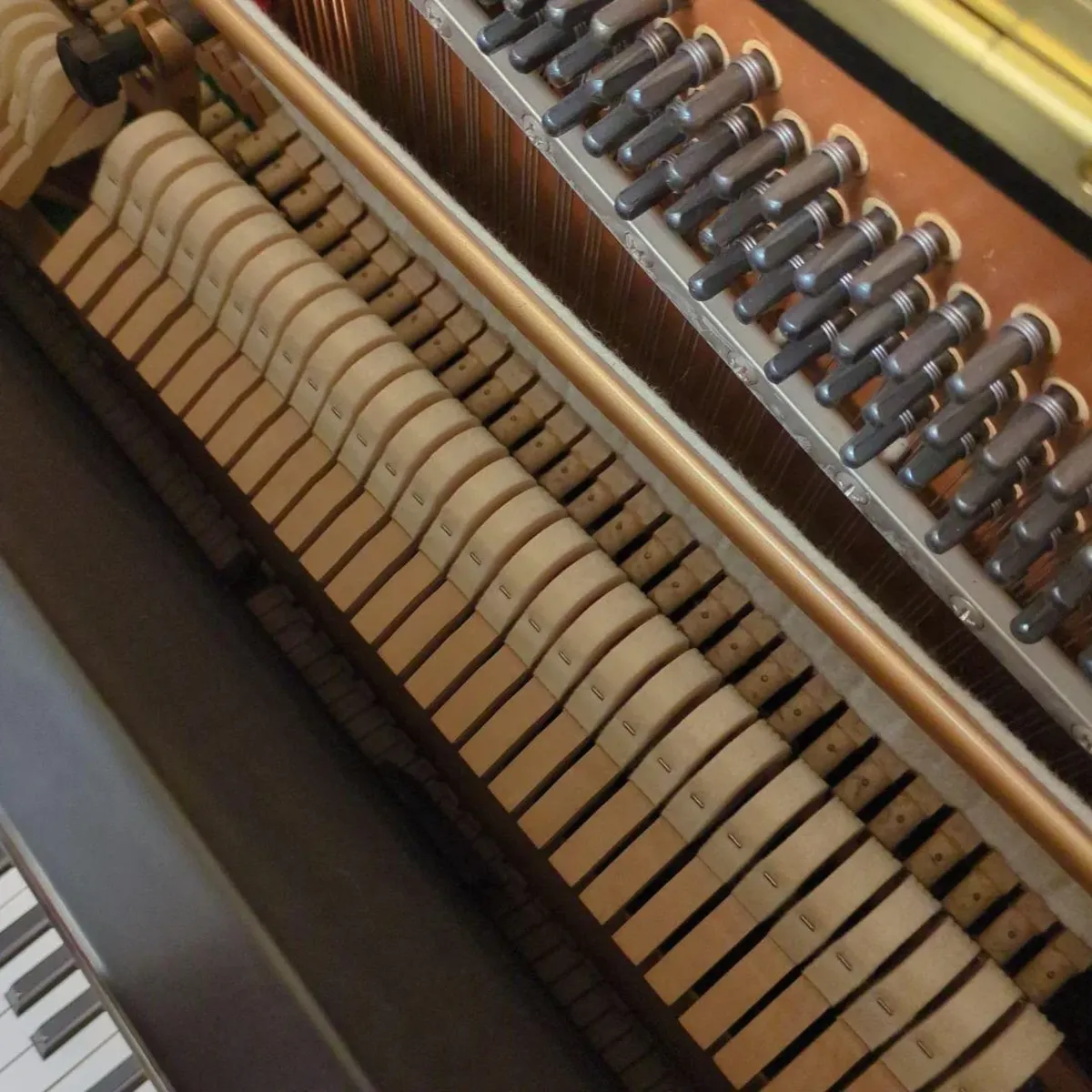 bo may dan piano kawai ns15