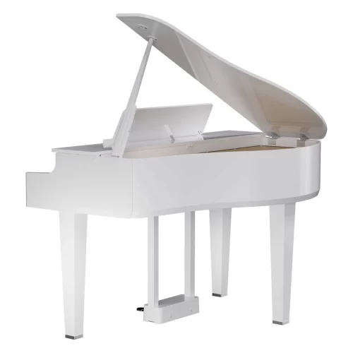 dan grand piano dien roland gp 6