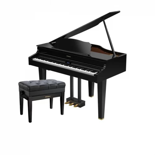 dan grand piano dien roland gp 607