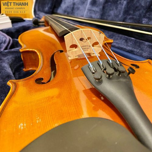 mat truoc violin samuel eastman vl100