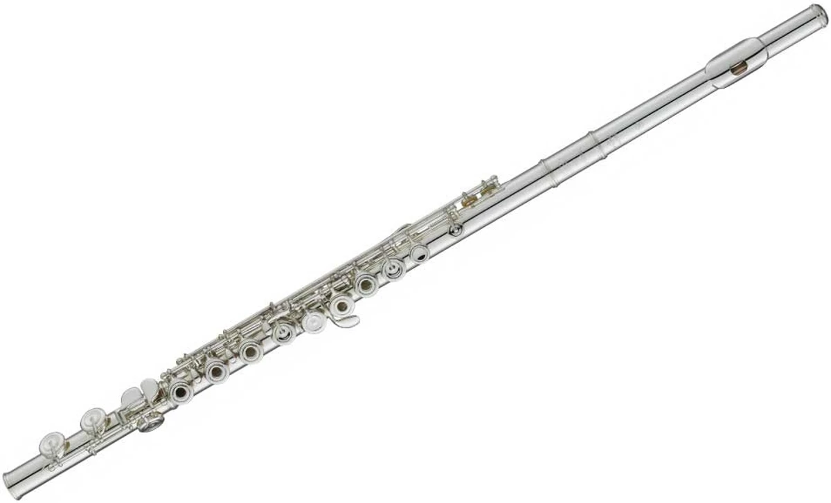 Sáo Flute