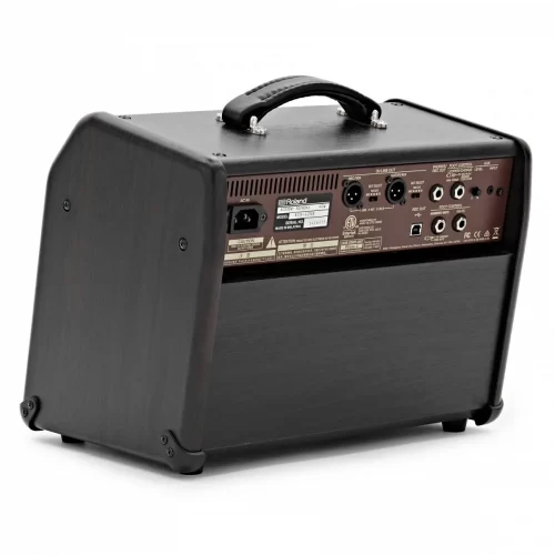 amp acoustic boss acoustic singer live