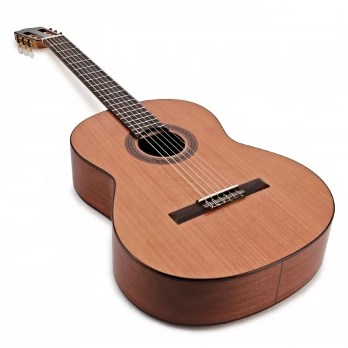 dan guitar cordoba c5-cd