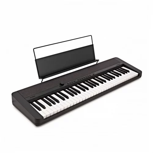 dan organ casio ct-s1