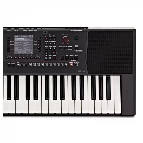 dan organ roland e-a7