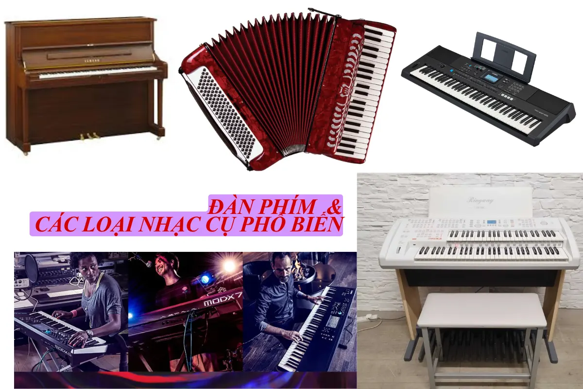 Đàn phím và các loại nhạc cụ phổ biến