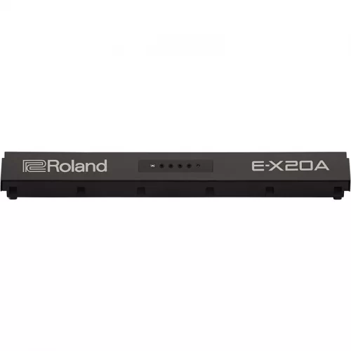 dan roland e-x20a