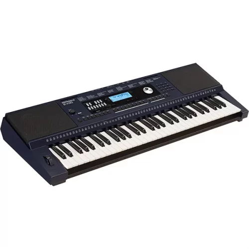 dan roland e-x30