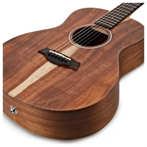 dan taylor gs mini-e koa