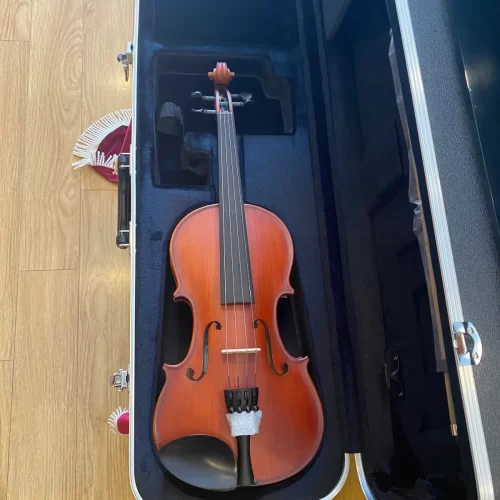 dan violin scherl roth sr41e4h