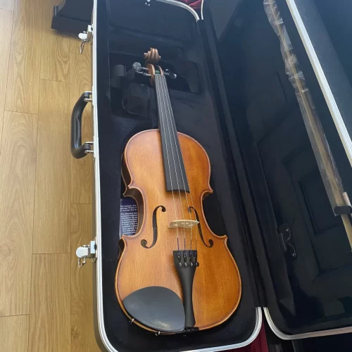 dan violin scherl roth sr51e4h