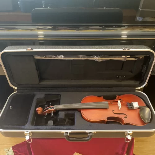 dan violon scherl roth sr41e4h