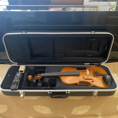 dan violon scherl roth sr51e4h