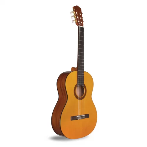 guitar cordoba c1