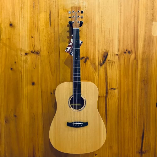 guitar tanglewood twr2 d