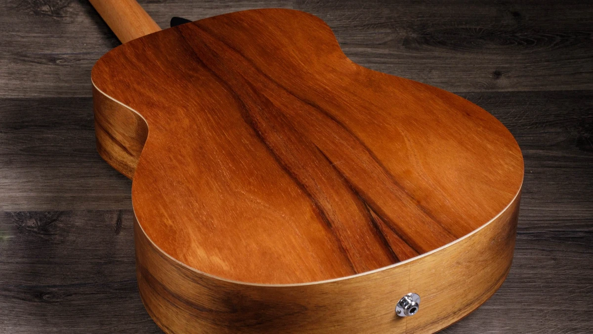 mat sau va hong dan guitar taylor gs mini-e koa