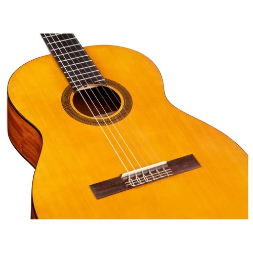 mat truoc guitar cordoba c1