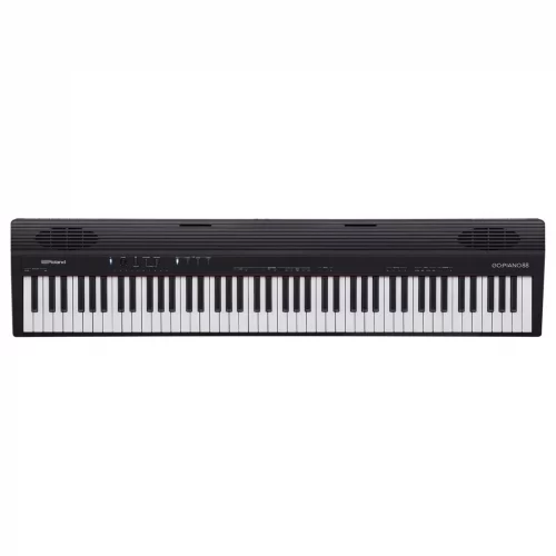 piano dien roland go88p