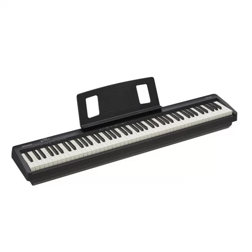 portable piano dien roland fp-10