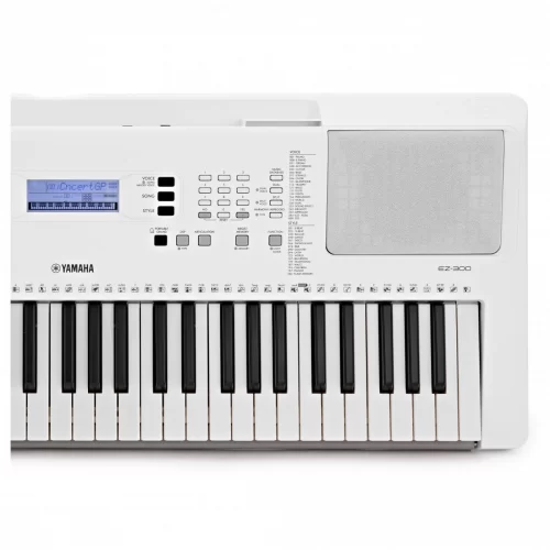 ben phai organ yamaha psr-ew425