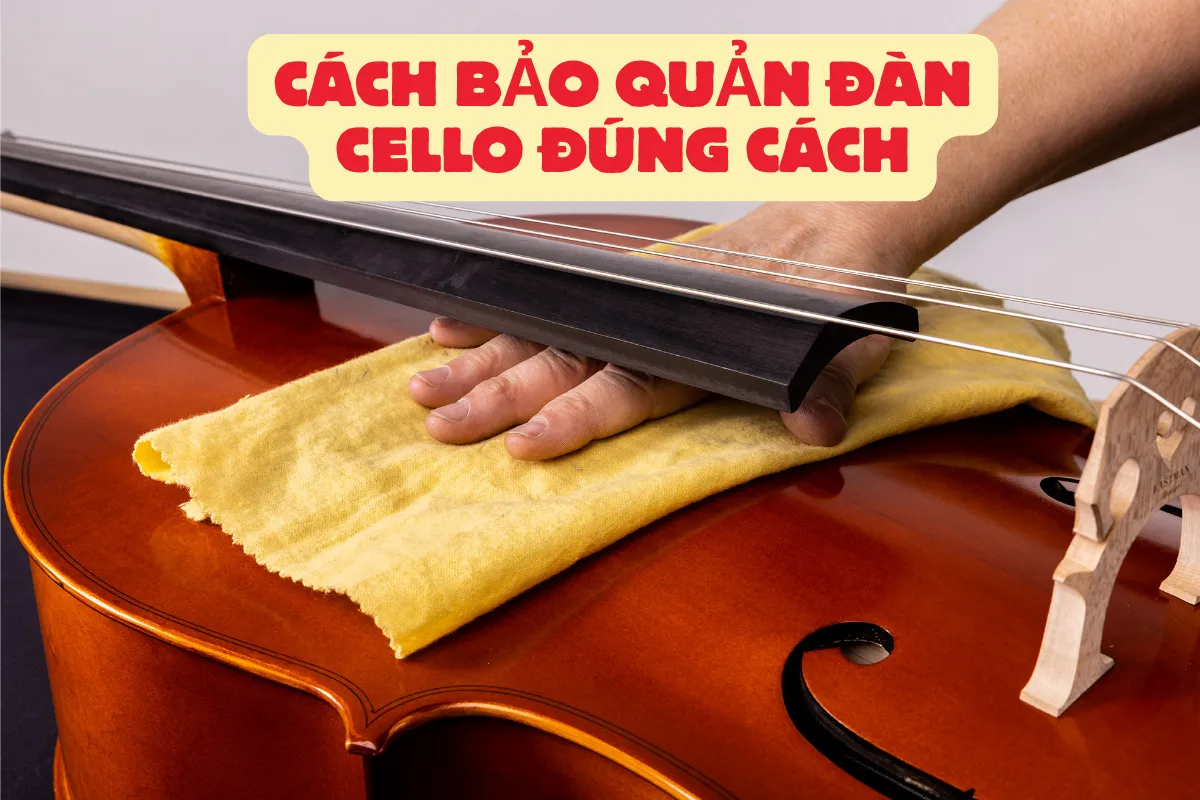 Cách bảo quản đàn cello đúng cách để giữ âm thanh luôn hoàn hảo