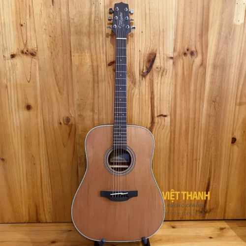 dan guitar takamine gd20-ns