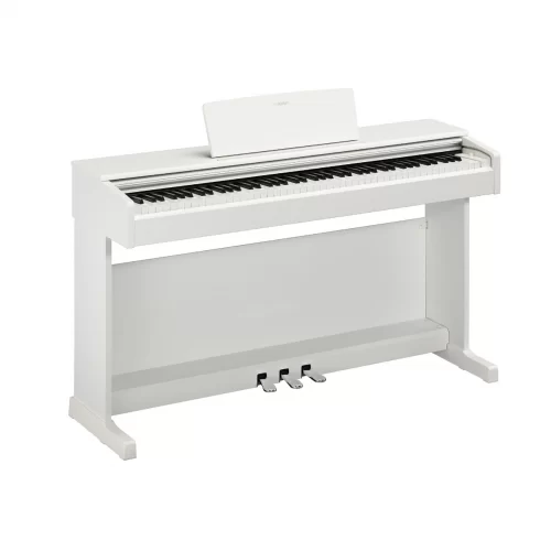 dan piano yamaha ydp-145 mau trang