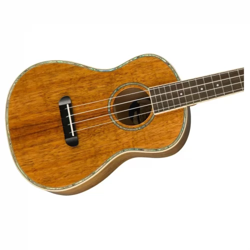 dan ukulele fender montecito tenor