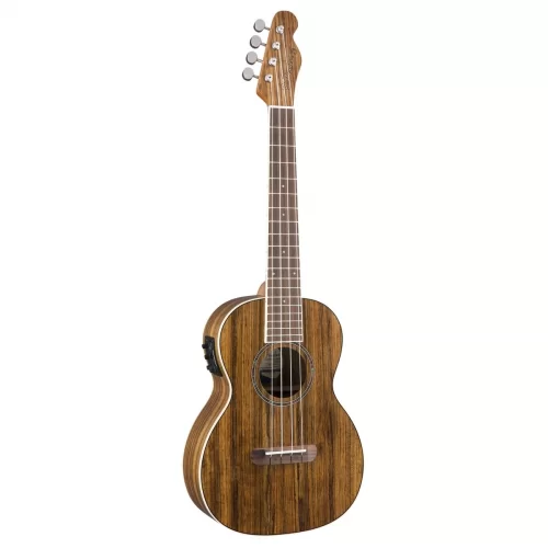 dan ukulele fender rincon tenor