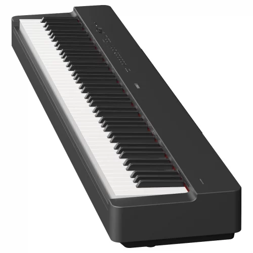 dan yamaha p-225 mau den