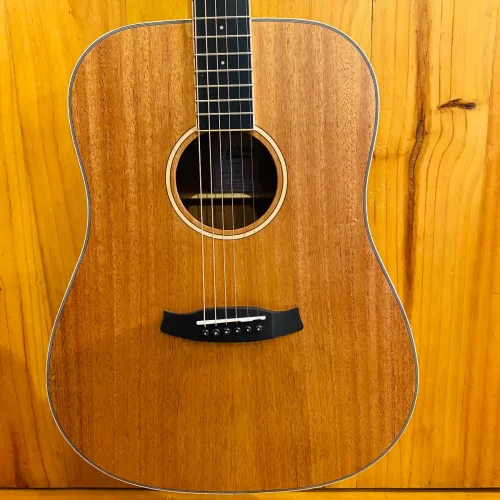 guitar acoustic tanglewood twud