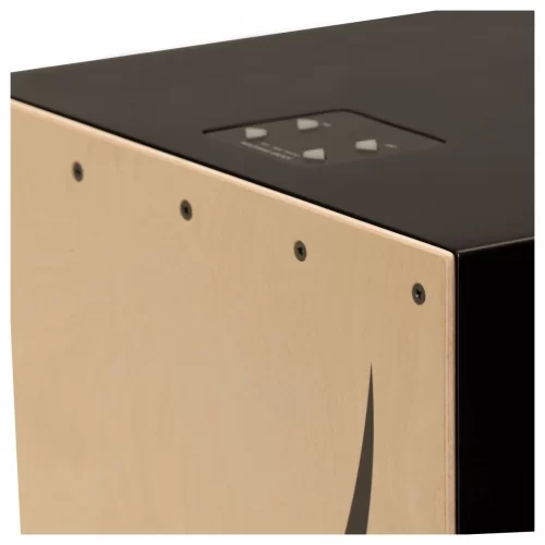 mat top trong cajon dien roland ec-10