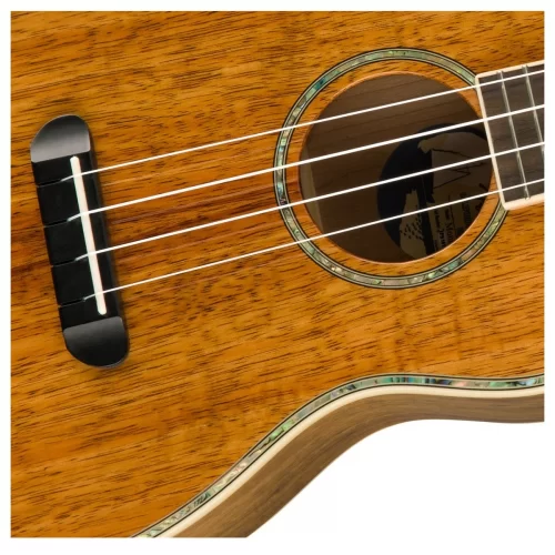 mat truoc ukulele fender montecito tenor