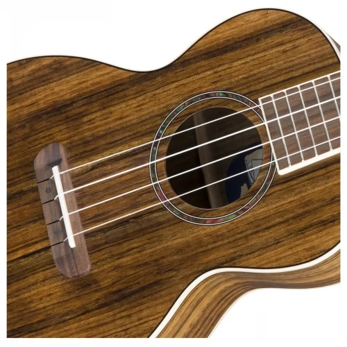 mat truoc ukulele fender rincon tenor