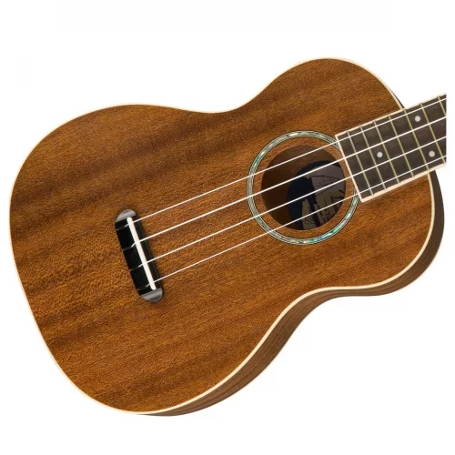 mat truoc ukulele fender zuma concert