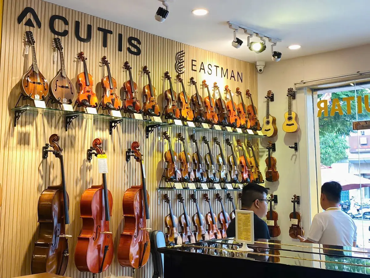 bang gia violin